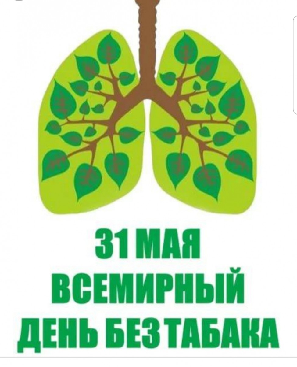 716 31 maya vsemirnyy den bez ta