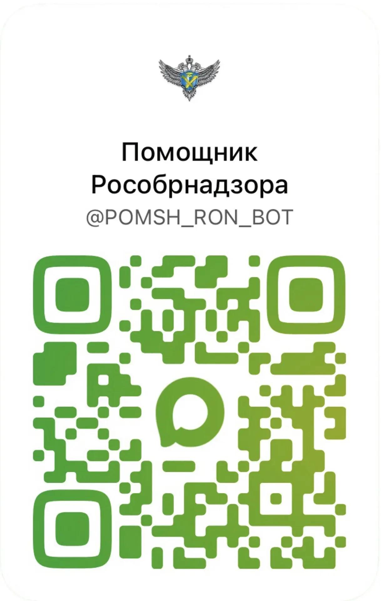 ЧАТ БОТ